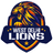 West Delhi Lions Flag